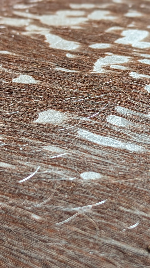 Kuhfell silber