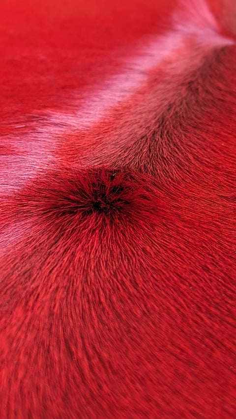 Kuhfell rot