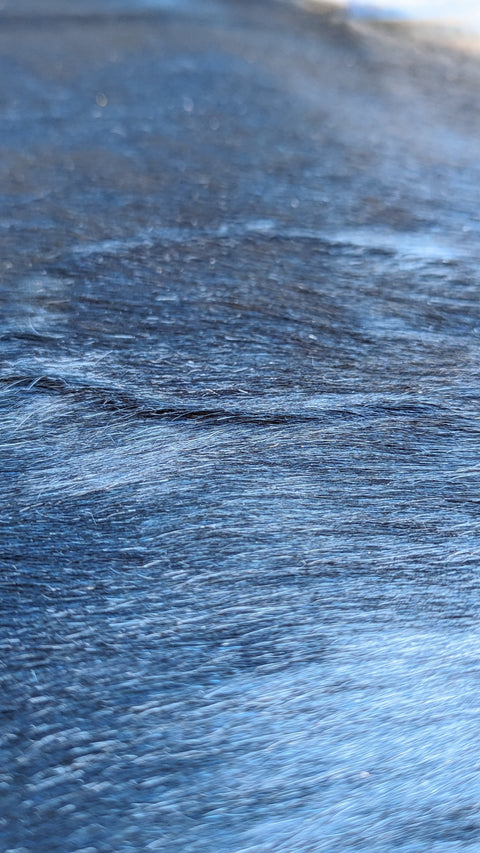 Kuhfell blau