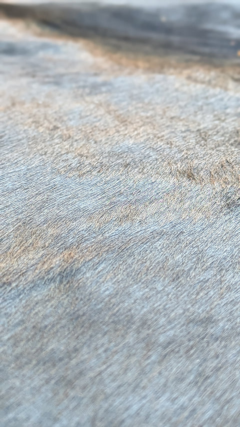 Kuhfell blau