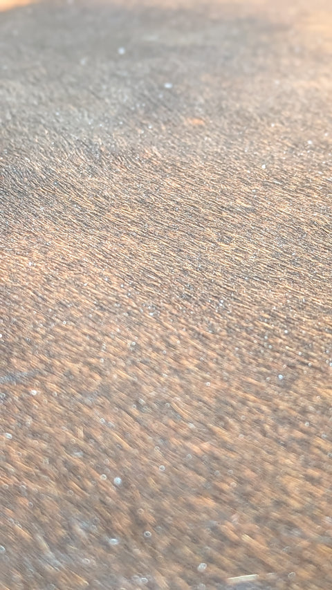 Kuhfell schwarz-braun
