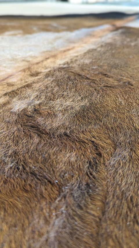 Kuhfell schwarz-braun
