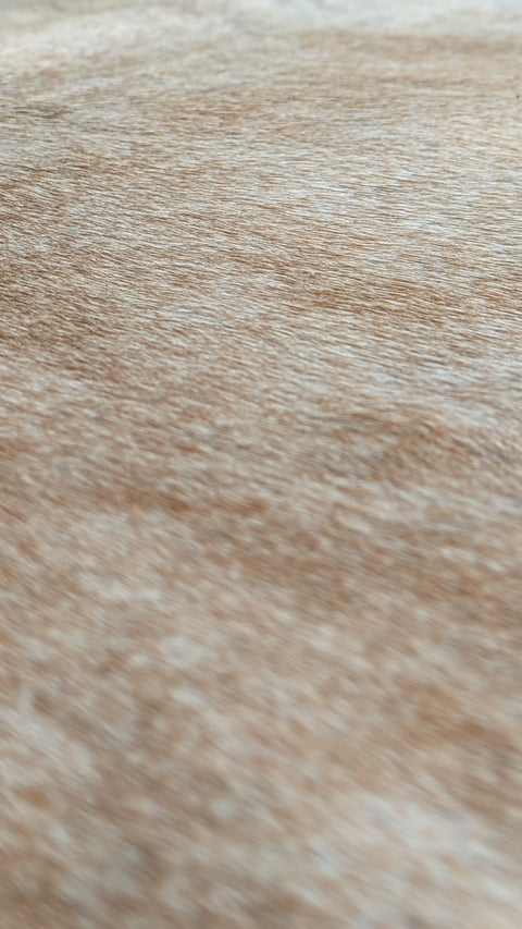 Kuhfell beige