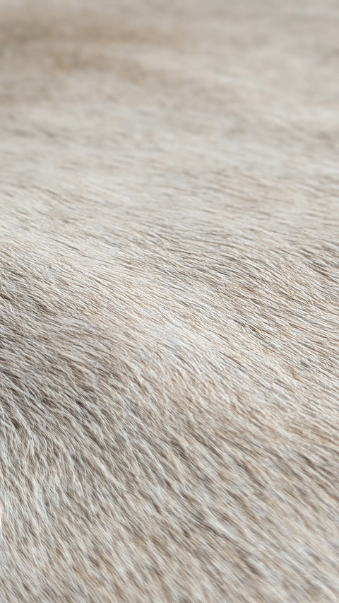 Kuhfell beige