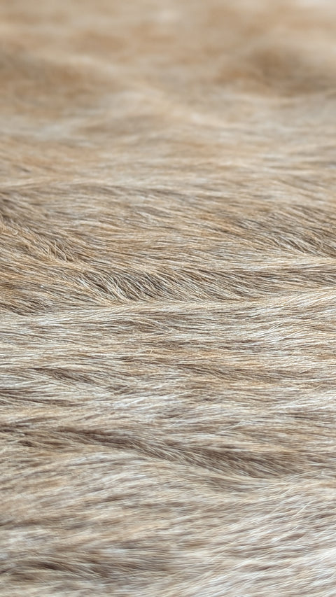 Kuhfell beige