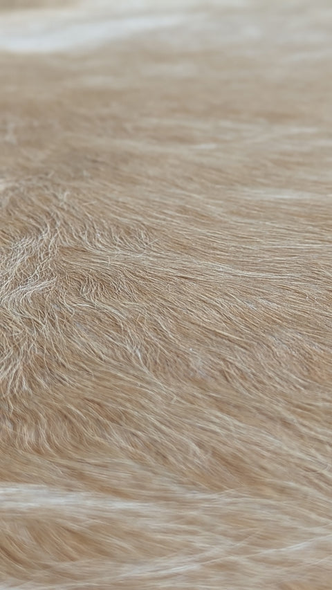 Kuhfell beige