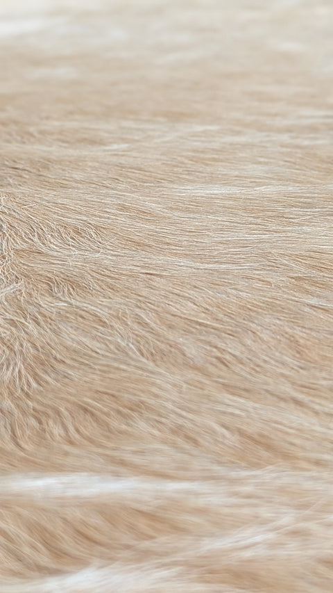Kuhfell beige